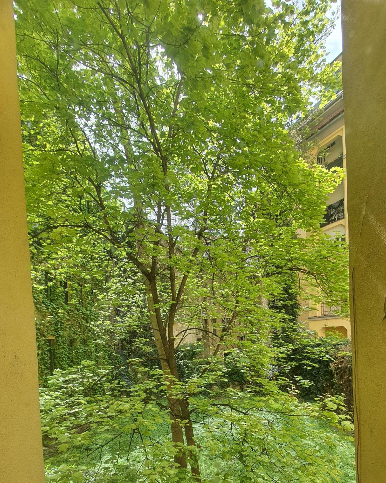 Appartamento Mlynske Nivy 6, Ba Bratislava Esterno foto